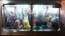Penumpang berjubel saat KRL commuter line Jakarta Kota-Bogor melintas di Stasiun Pasar Minggu, Jakarta, Selasa (24/11). Pohon tumbang di perlintasan KRL antara Citayam dan Bojonggede, membuat perjalanan kereta terganggu. (Liputan6.com/Immanuel Antonius)