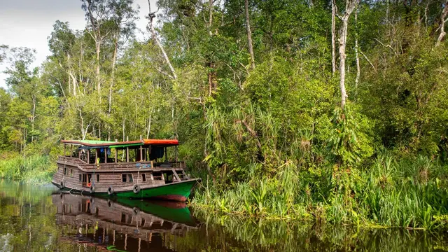 taman nasional tanjung puting