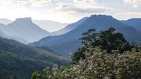 Gunung Phou Louey di Laos. (Dok: IG @insideasiatours&nbsp;https://www.instagram.com/p/BeNyFNODs_K/?igsh=dTcxM2xldnE4cmF5)