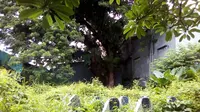 Buttatianang, Kompleks Makam Tua Tanah Hamil yang Angker di Makassar