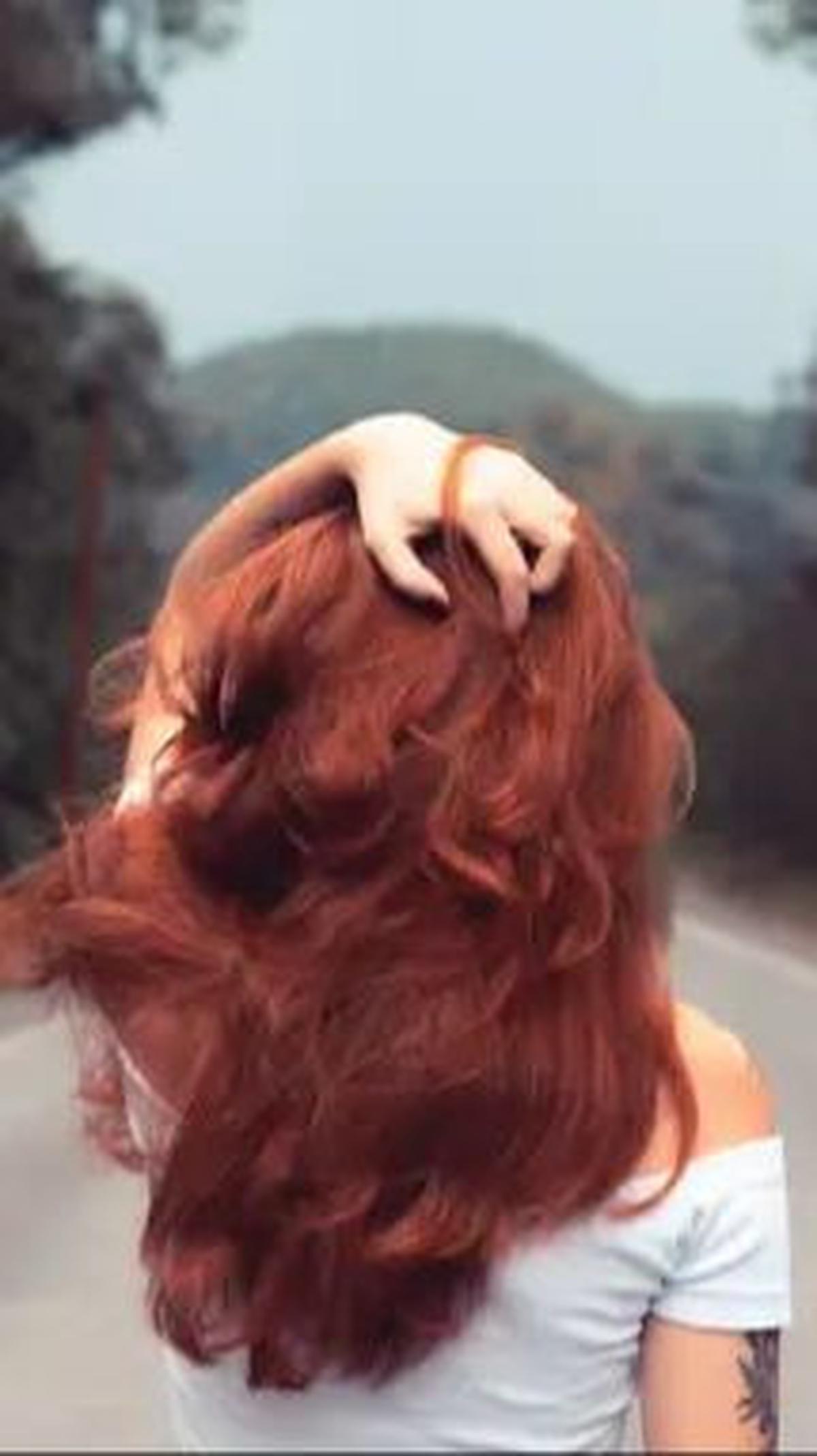 Membatasi Kebiasaan Mewarnai atau Mengecat Rambut<br>