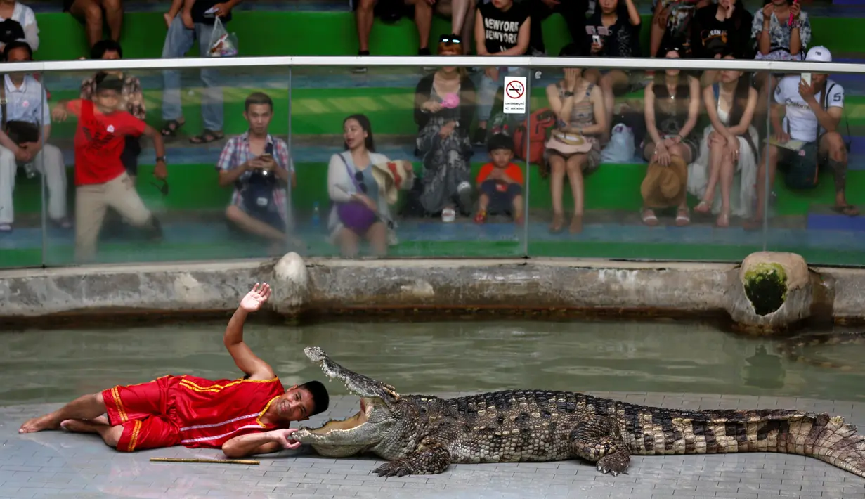 Seorang pria beratraksi dengan meletakkan kepalanya kedalam mulut buaya di Sriracha Tiger Zoo, Provinsi Chonburi , Thailand , 7 Juni 2016. Aksi nekat ini mengundang decak kagum wisatawan yang hadir. (REUTERS / Chaiwat Subprasom)