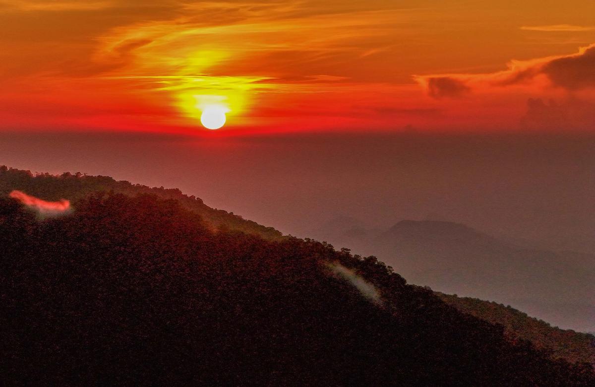FOTO: Pesona Alam Puncak Masih Menjadi Tujuan Favorit Warga Saat Libur Panjang