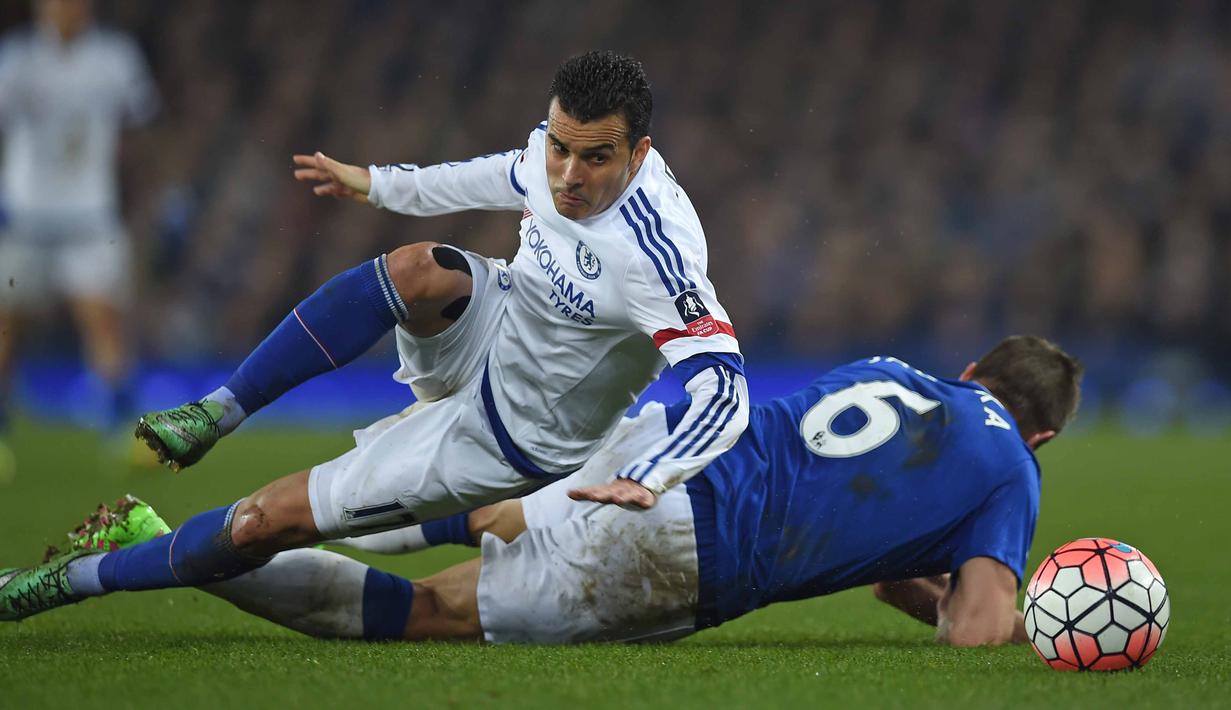 Pemain Everton,Phil Jagielka (kanan) terjatuh saat berebut bola dengan pemain Chelsea, Pedro pada perempat final Piala FA di Goodison Park, Liverpool, Minggu (13/3/2016) dini hari WIB. (AFP/Paul Ellis)