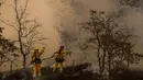 Seorang petugas pemadam kebakaran sedang memadamkan lahan yang terbakar di kawasan Rocky Fire, San Francisco, California, Kamis (30/7/2015). Belum diketahui penyebab pasti terbakarnya wilayah Rocky Fire. (REUTERS/Max Whittaker)