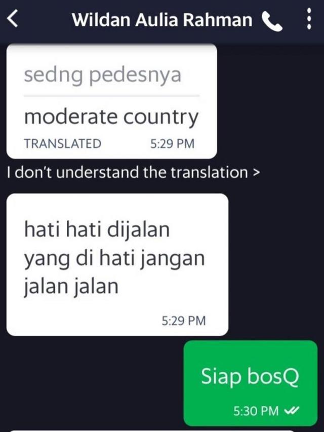 7 Chat Absurd Driver Ojek Online dan Penumpang, Bikin Mesem-Mesem
