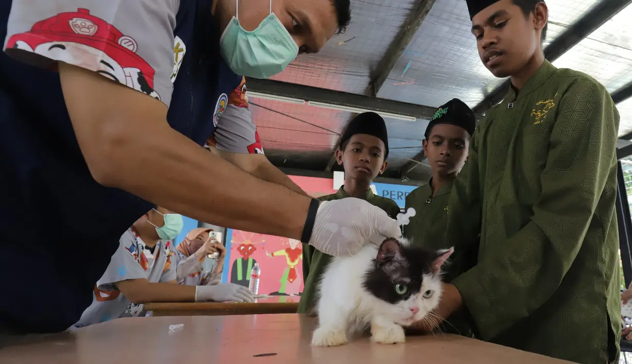 Sebanyak 300 dosis vaksin rabies disiapkan untuk kegiatan yang berlangsung pada 14-16 Oktober 2025 itu. (merdeka.com/Arie Basuki)