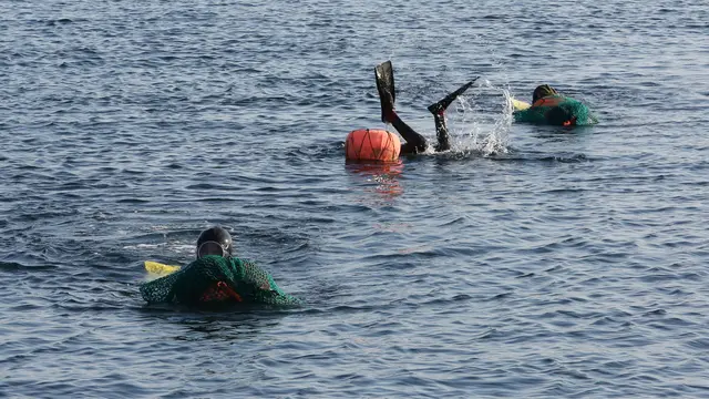 Haenyeo, Penyelam Wanita Dari Jeju