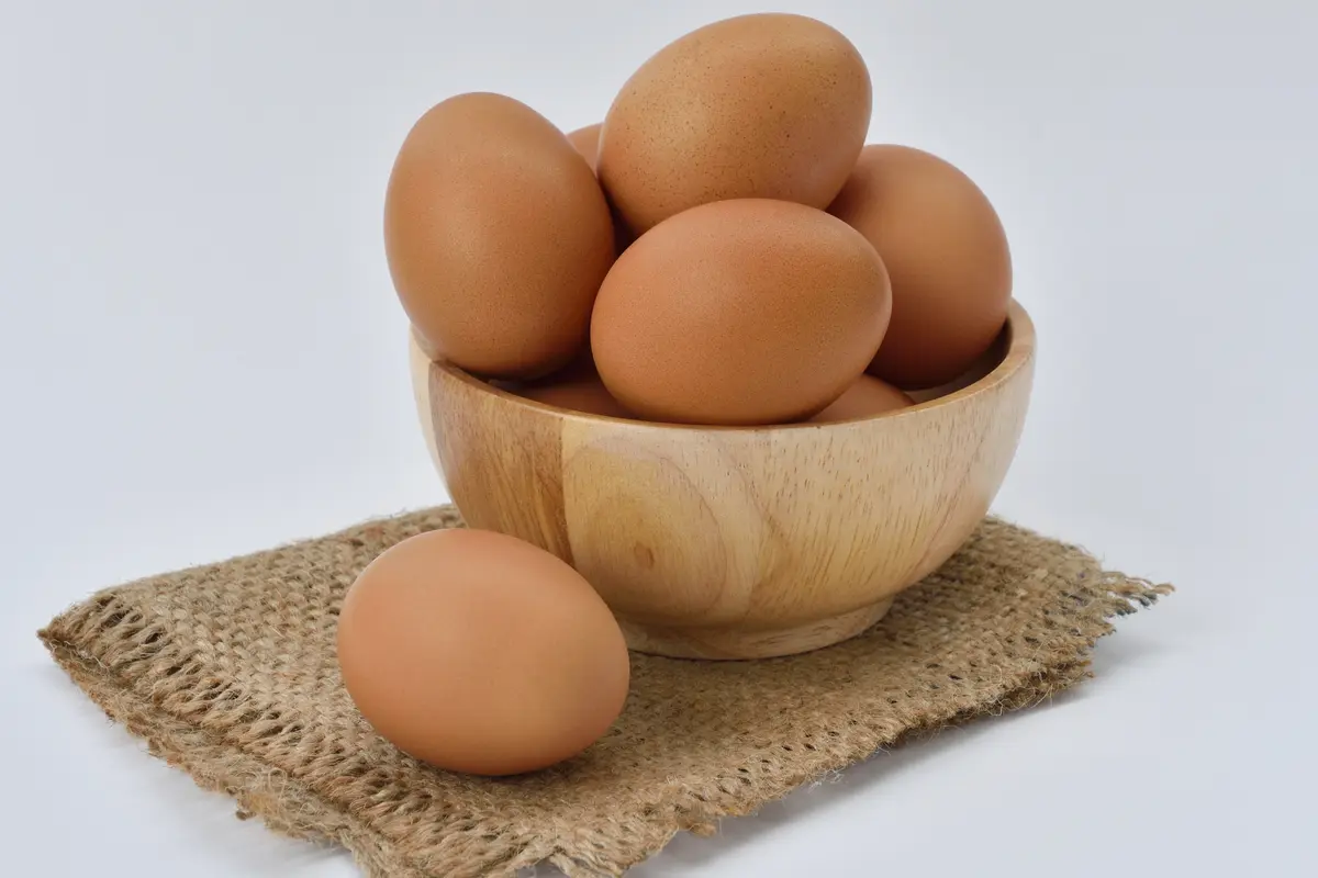 Ilustrasi Telur