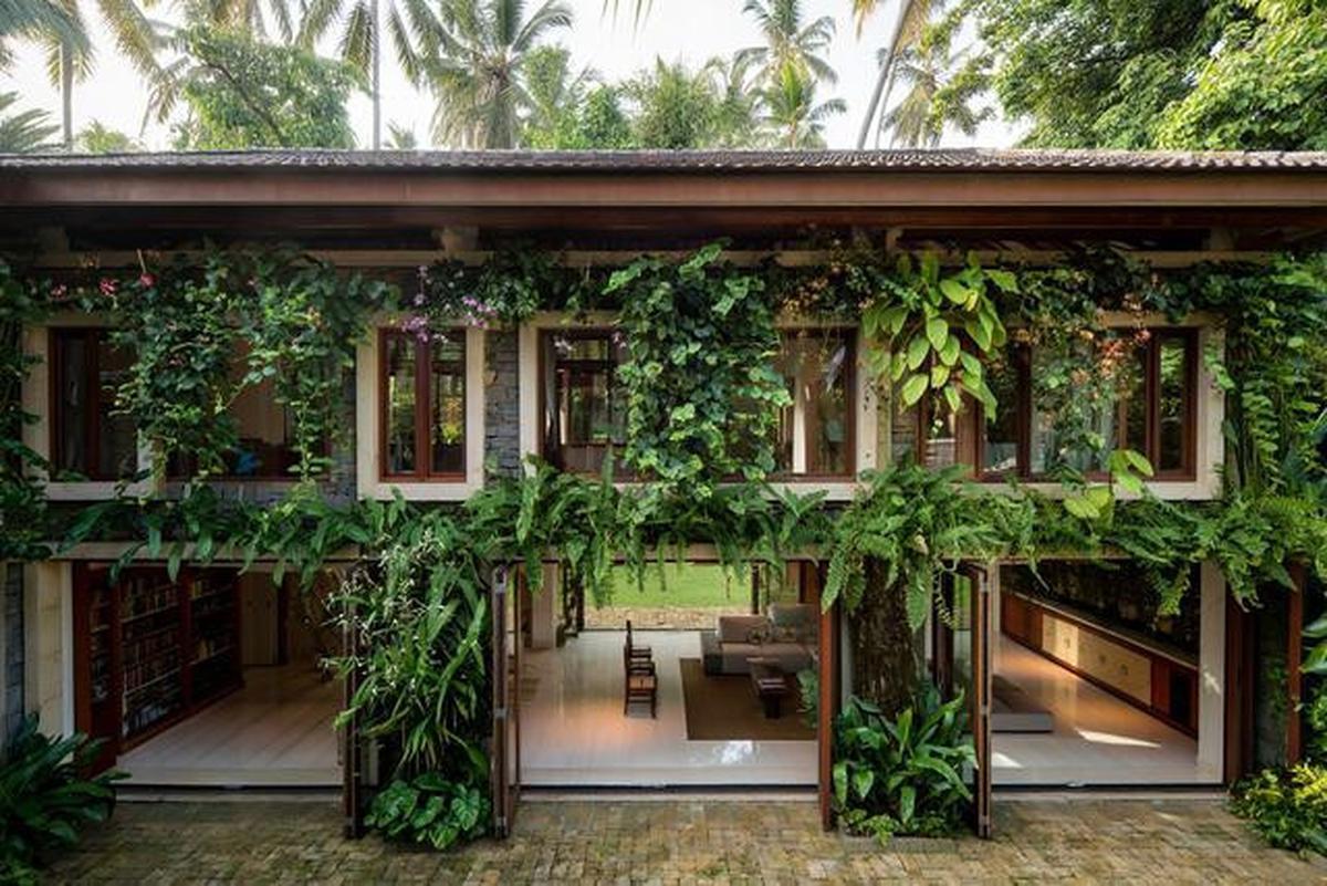 10 Model Tampak Depan Rumah Minimalis Asri dengan Tanaman Rambat, Bikin Hunian Teduh