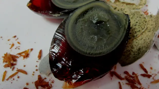 20150917-Century Egg