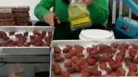 VIDEO: Buah Salak Kurma, Oleh-Oleh Lebaran dari Jember