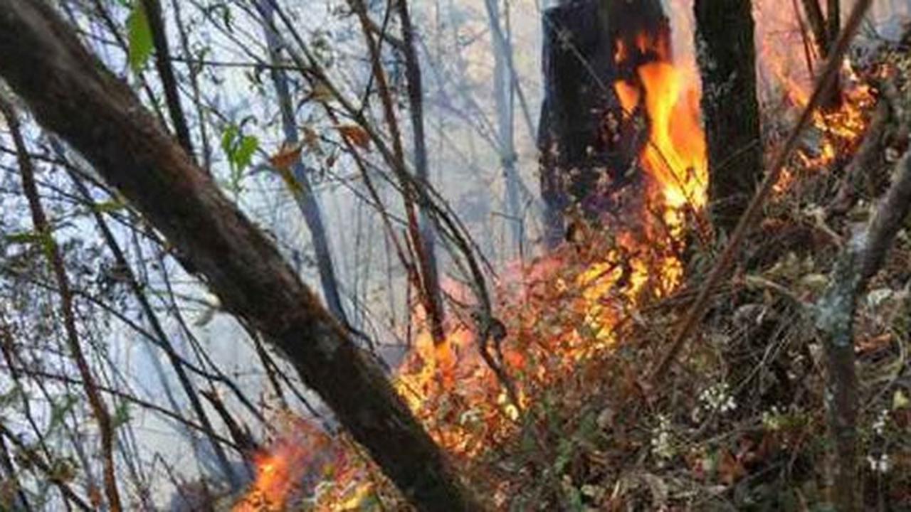 Kebakaran Gunung Lawu belum bisa dipadamkan, merembet ke Jawa Tengah