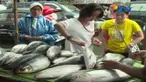 Dalam tradisi etnis Tionghoa sajian ikan bandeng sebagai lambang kebahagiaan dan keberuntungan.