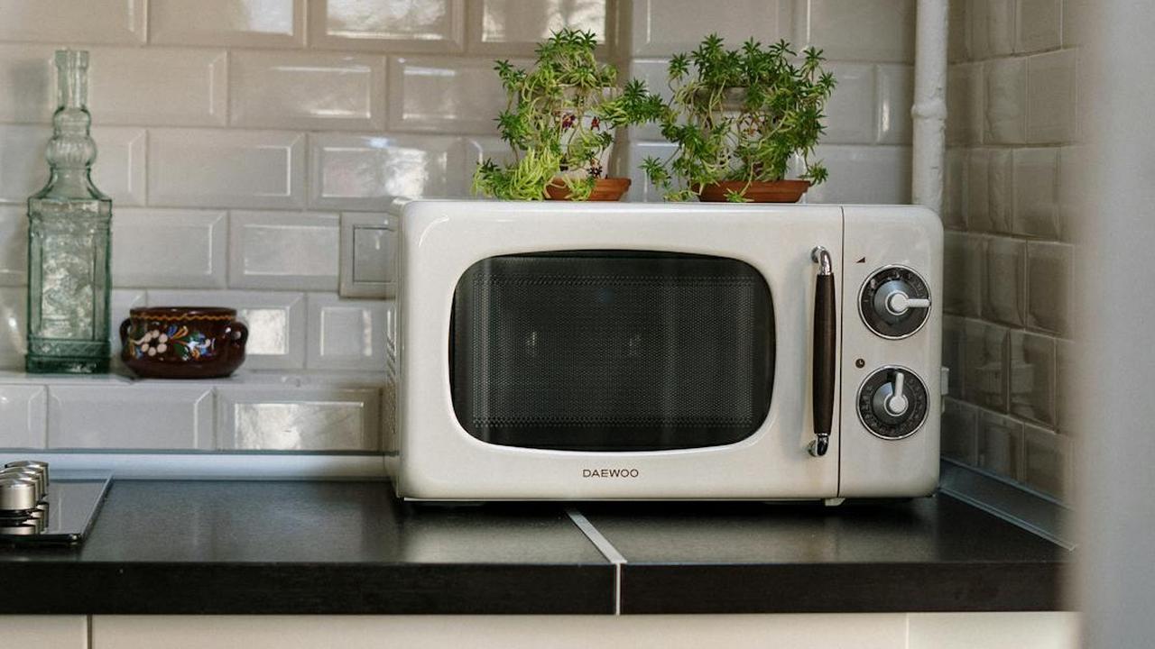 Ilustrasi Microwave