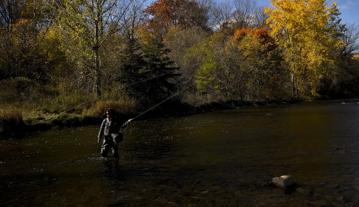 Seorang nelayan melemparkan pancingnya saat dia memancing ikan trout di Credit River di antara warna-warni musim gugur di Mississauga, Ontario, pada Kamis, 27 Oktober 2022. (Nathan Denette/The Canadian Press via AP)