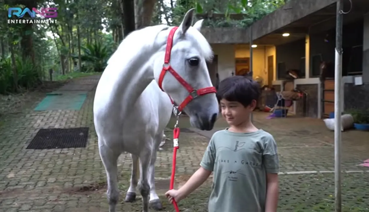Kuda baru Nagita Slavina (Youtube/ Rans Entertainment)