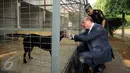 Menteri Imigrasi Australia, Peter Dutton melihat kondisi anjing pelacak di satuan K-9 Dirjen Bea Cukai Jakarta, Kamis (19/11/2015). Kunjungan ini untuk mempererat hubungan pemberantasan peredaran narkoba. (Liputan6.com/Helmi Fithriansyah)