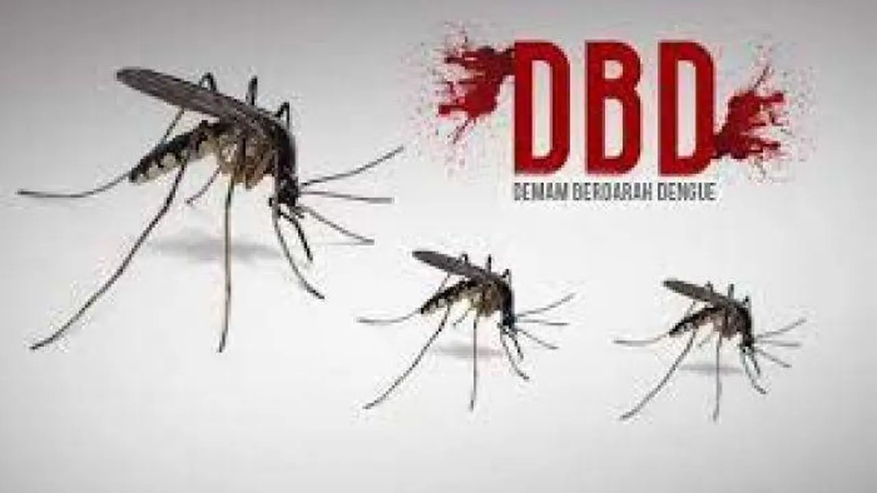 Ilustrasi DBD (Istimewa)