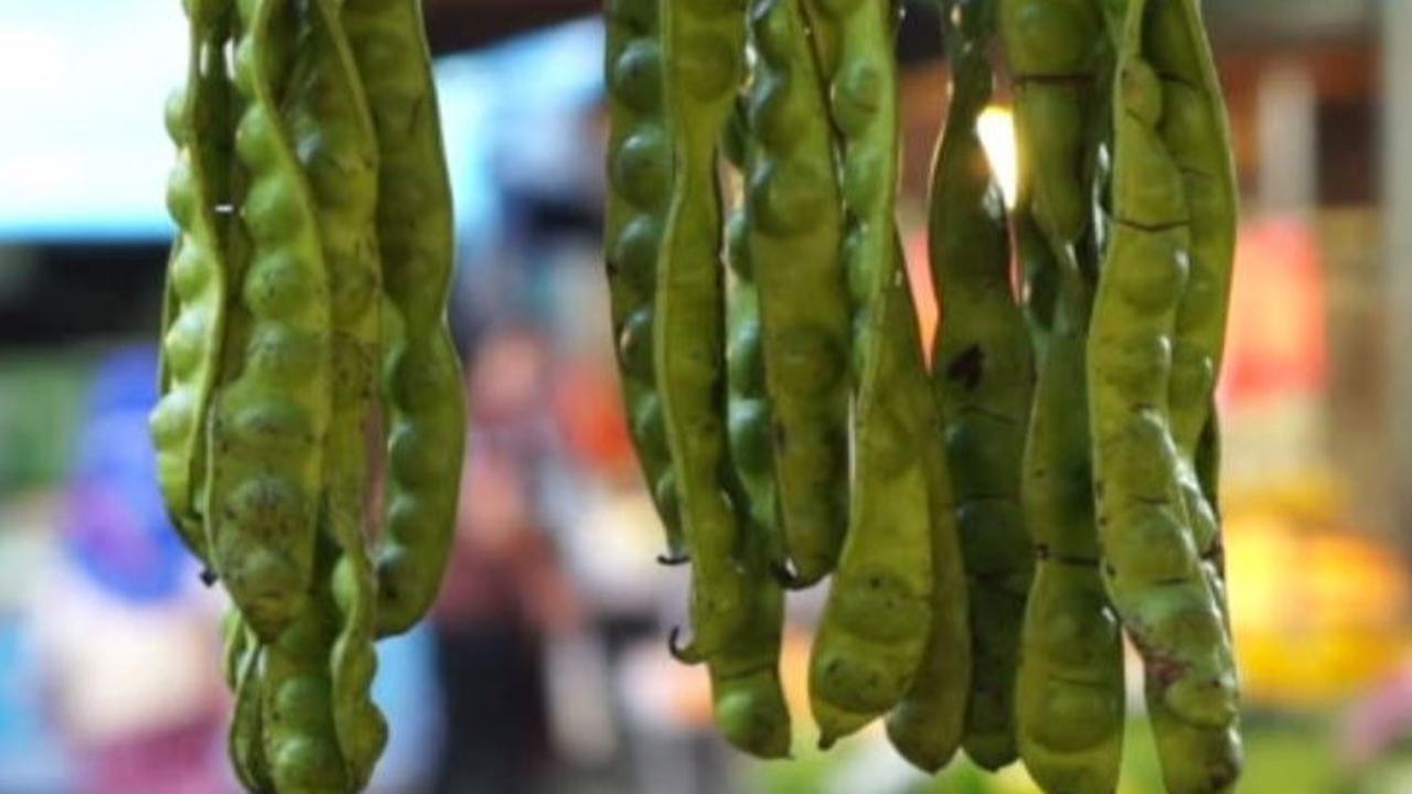Asam Urat Boleh Makan Petai? Berikut Fakta dan Panduan Konsumsi yang Tepat