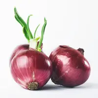 Ilustrasi bawang/Copyright Freepik/Standret