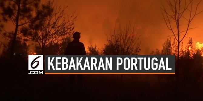 VIDEO: Kebakaran Besar di Portugal, 1.800 Pemadam Dikerahkan