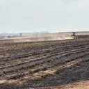 Asap Kebakaran Picu Kecelakaan Maut, Perkebunan Tebu Disegel