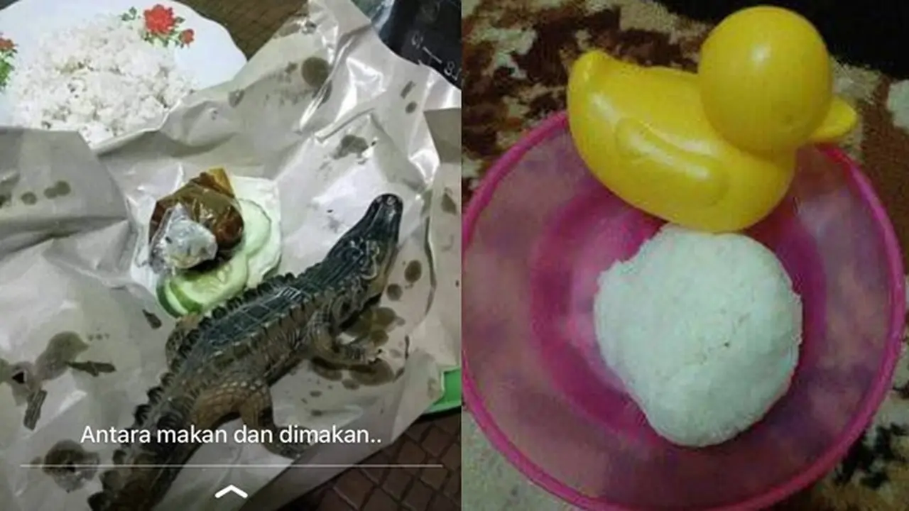 6 Menu Makan Pakai Lauk Mainan Bentuk Hewan Ini Bikin Elus Dada