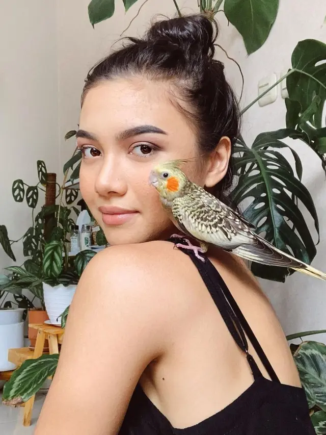 Angela Gilsha dan Tanaman Hias