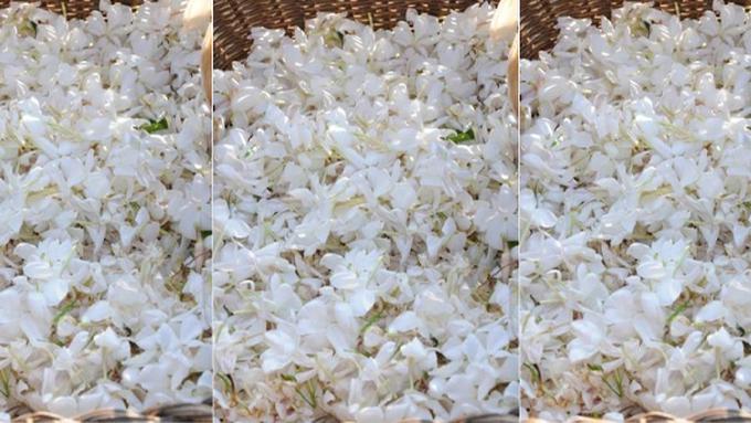 Mengenal Roncean Bunga Melati Dalam Pernikahan Adat Solo Lifestyle Fimela Com
