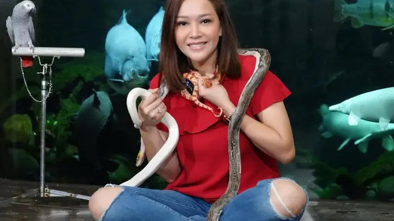 Pesona Maia Estianty Pakai Busana Warna Merah, Tampil Elegan dan Berani