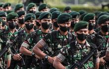 Bikin Melongo Binatang Khas Maluku Ini Menjadi Lambang Satuan Denkav 5/BLC Kodam XV/Pattimura, Begini Alasannyaed