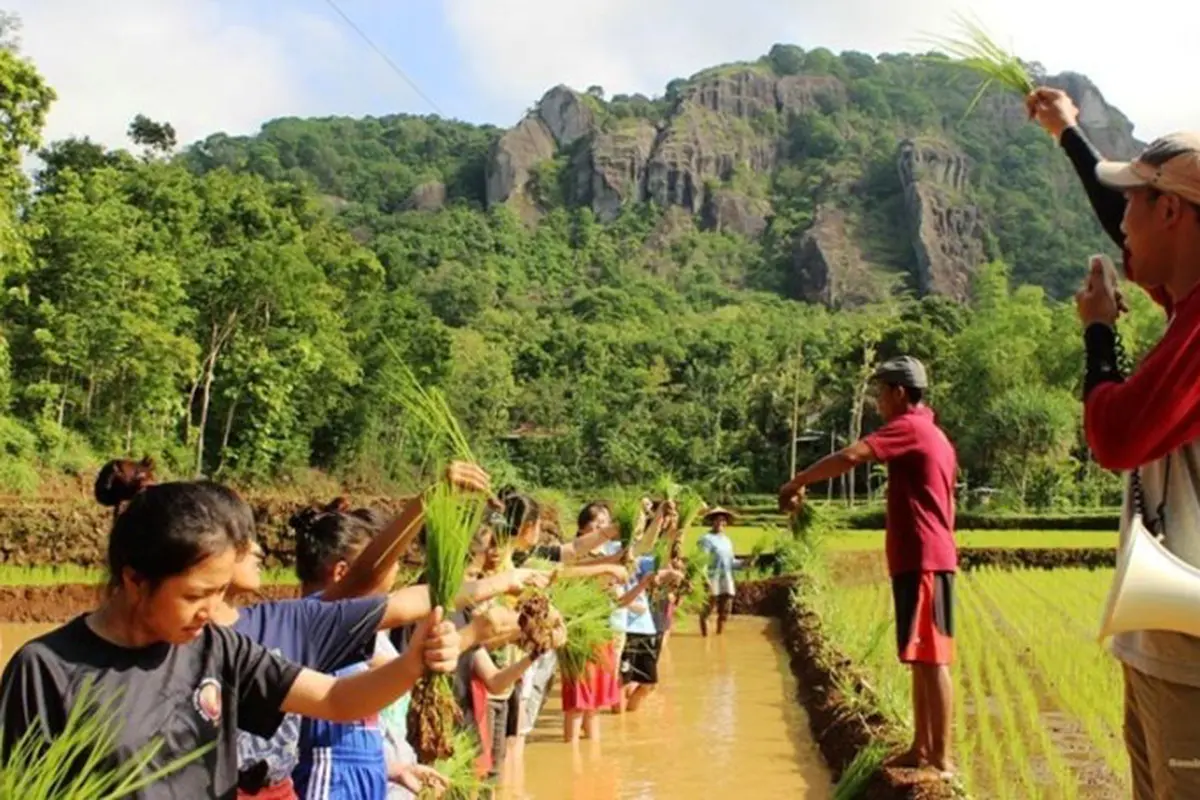 [Bintang] Gunungkidul