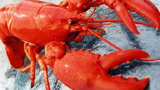 Photo: Copyright Thinkstockphotos.com