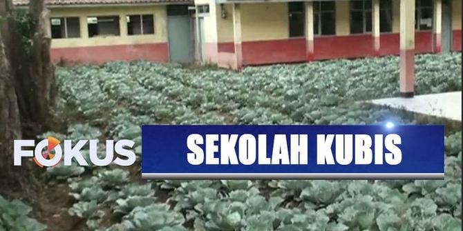 3 Tahun Terbengkalai, Gedung Sekolah di Bandung Jadi Kebun Kubis