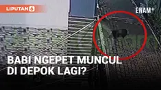 Geger! Penampakan Diduga Babi Ngepet di Depok!