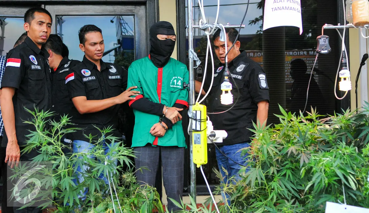 Tersangka DI (37) dihadirkan saat rilis di halaman Polres Jakarta Barat, Rabu (27/4).  Polres Metro Jakarta Barat amankan puluhan pot tanaman ganja serta puluhan gram paket ganja siap edar. (Liputan6.com/Yoppy Renato)