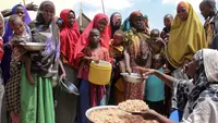 PBB: 6,5 Juta Warga Somalia Alami Kelaparan Akut