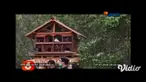 Anda dapat menikmati atraksi bermain kano. Bahkan, bisa memandang keindahan Selat Bali dari lepas Pantai Cacalan, Banyuwangi.