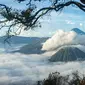 Ilustrasi Gunung Bromo (Istimewa)