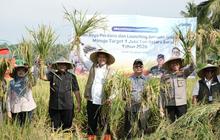 Bulog Tetapkan NTB sebagai Tumpuan Utama Penyerapan Beras Nasional Menuju Swasembada