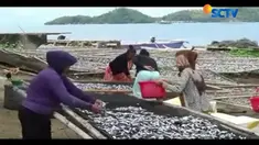 Melonjaknya harga garam dari Rp 50 ribu menjadi Rp 200 ribu pe karung.