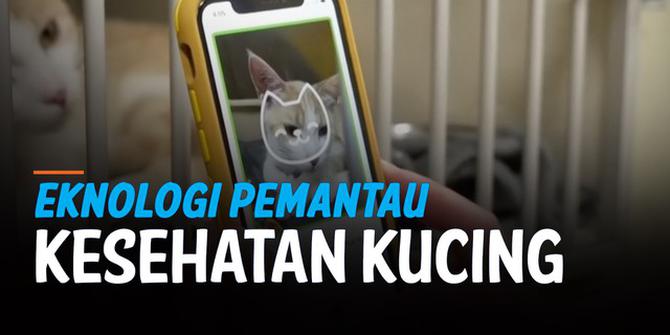 VIDEO: Aplikasi Pemantau Kesehatan Kucing saat di Rumah Saja
