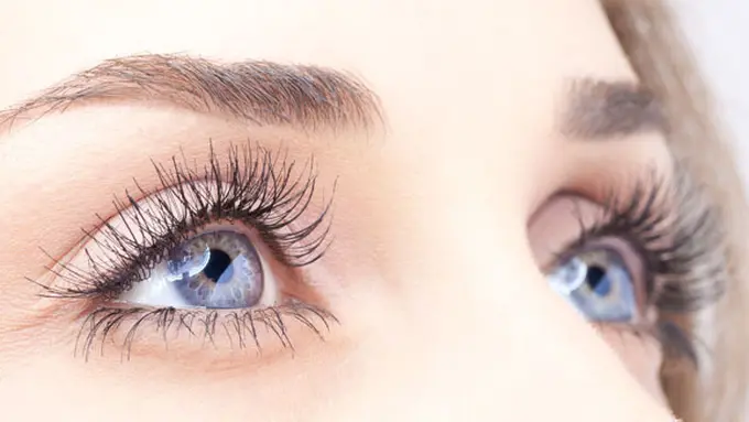 Foto: copyright thinkstockphotos.com