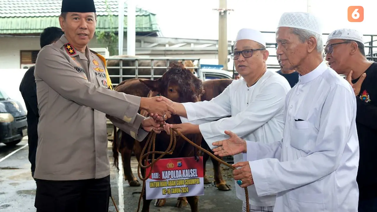 Sapi Kapolri Haul Abah Guru Sekumpul Kalsel Liputan6.com