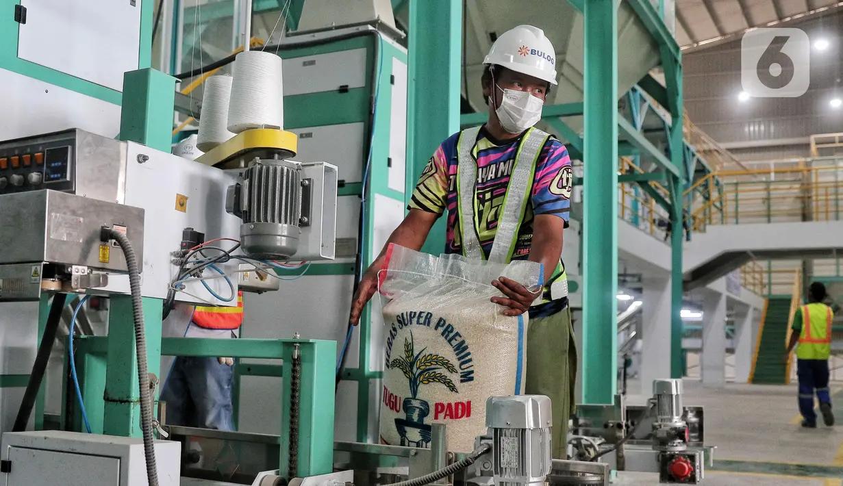 Pekerja mengemas beras yang diolah secara modern dengan mesin Modern Rice Milling Plant (MRMP) di Karawang, Jawa Barat, Rabu (21/9/2022). Infrastruktur MRMP ini bertujuan untuk membantu petani dan menyederhanakan alur proses pengolahan beras yang terpusat dalam fasilitas pengolahan gabah hasil panen berbasis teknologi modern. (Liputan6.com/Angga Yuniar)