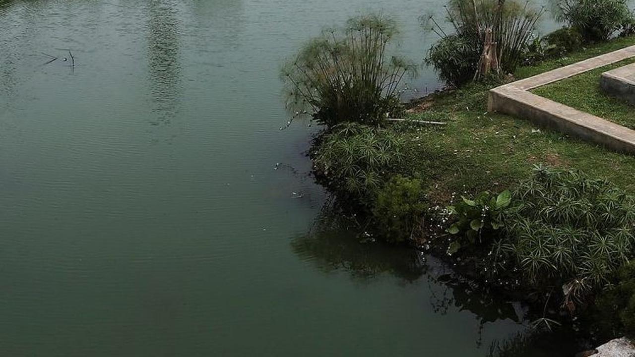 Memaksimalkan Peran Waduk Jakarta untuk Menampung Luapan Air di Musim Hujan