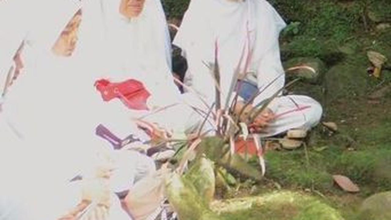 Sepuh di sini juga merujuk ke sesepuh yang berpengaruh dalam persebaran agama Islam di Desa Ciomas, Kecamatan Panjalu yakni KH Eyang Penghulu Gusti.
