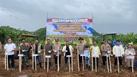 Pemuda Katolik dan Polri Tanam Jagung 80 Hektar di Cianjur, Dukung Target Swasembada Panganj