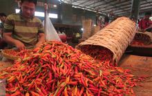 Harga Beras, Cabai dan Bawang Putih hingga Daging Turun, Cek Daftar Lengkap Pangan Berikut Ini